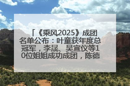 《乘风2025》成团名单公布：叶童获年度总冠军，李晟、吴宣仪等10位姐姐成功成团，陈德容获年度高光人物