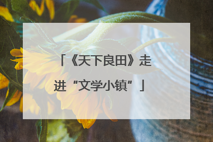 《天下良田》走进“文学小镇”