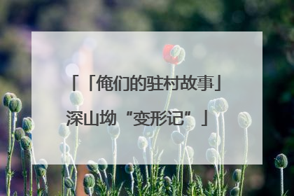 「俺们的驻村故事」深山坳“变形记”