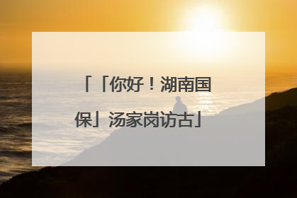 「你好！湖南国保」汤家岗访古