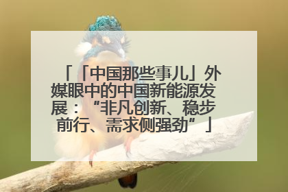 「中国那些事儿」外媒眼中的中国新能源发展：“非凡创新、稳步前行、需求侧强劲”