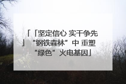 「坚定信心 实干争先」“钢铁森林”中 重塑“绿色”火电基因