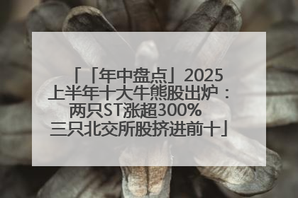 「年中盘点」2025上半年十大牛熊股出炉：两只ST涨超300% 三只北交所股挤进前十