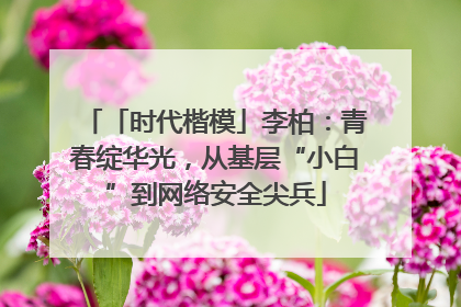 「时代楷模」李柏：青春绽华光，从基层“小白”到网络安全尖兵