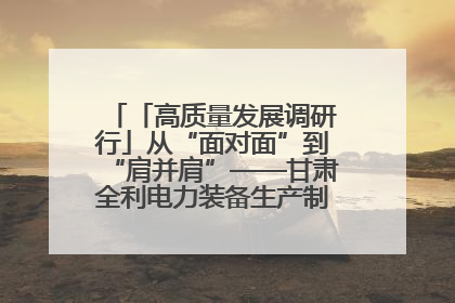 「高质量发展调研行」从“面对面”到“肩并肩”——甘肃全利电力装备生产制造项目一线见闻