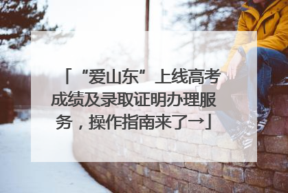 “爱山东”上线高考成绩及录取证明办理服务，操作指南来了→