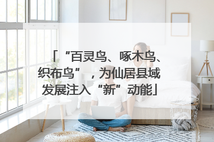 “百灵鸟、啄木鸟、织布鸟”，为仙居县域发展注入“新”动能