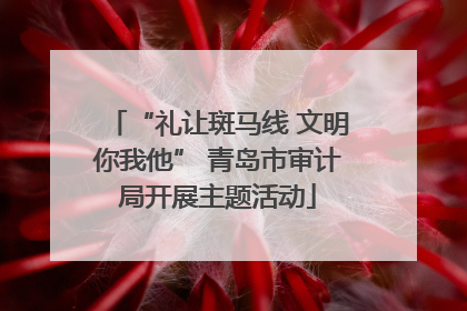 “礼让斑马线 文明你我他” 青岛市审计局开展主题活动