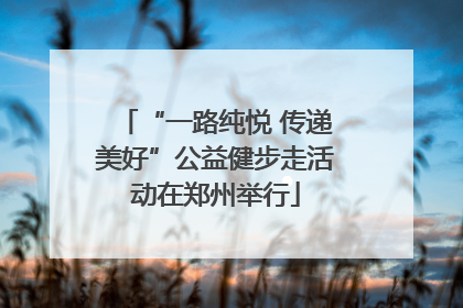 “一路纯悦 传递美好”公益健步走活动在郑州举行