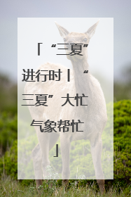 “三夏”进行时丨“三夏”大忙 气象帮忙