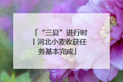 “三夏”进行时丨河北小麦收获任务基本完成