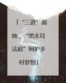 “三进”菌地，“黑木耳法庭”呵护乡村梦想