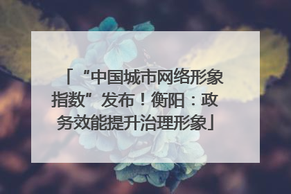 “中国城市网络形象指数”发布！衡阳：政务效能提升治理形象