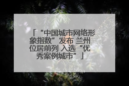 “中国城市网络形象指数”发布 兰州位居前列 入选“优秀案例城市”
