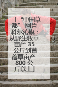 “中国草都” 阿鲁科尔沁旗：从野生牧草亩产 35 公斤到苜蓿草亩产 800 公斤以上