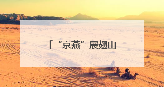 “京燕”展翅山东樱桃园 京东物流自研无人机开启樱桃出山新速度