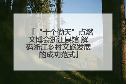 “十个勤天”点燃文博会浙江展馆 解码浙江乡村文旅发展的成功范式