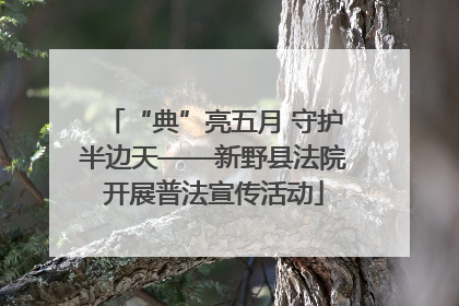 “典”亮五月 守护半边天——新野县法院开展普法宣传活动