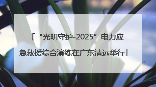 “光明守护-2025”电力应急救援综合演练在广东清远举行