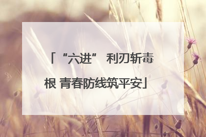 “六进” 利刃斩毒根 青春防线筑平安