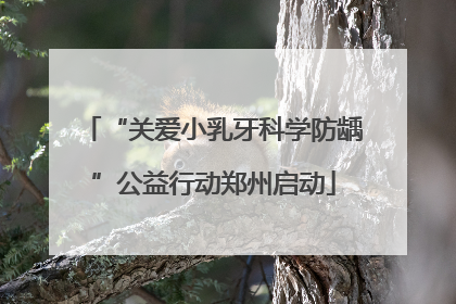 “关爱小乳牙科学防龋”公益行动郑州启动