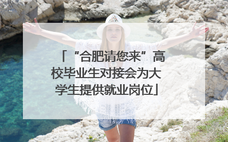 “合肥请您来”高校毕业生对接会为大学生提供就业岗位