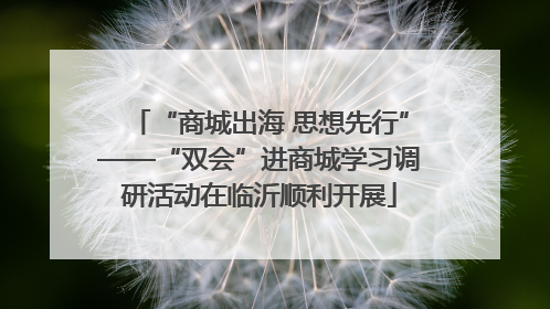“商城出海 思想先行”——“双会”进商城学习调研活动在临沂顺利开展