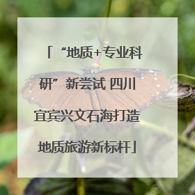 “地质+专业科研”新尝试 四川宜宾兴文石海打造地质旅游新标杆