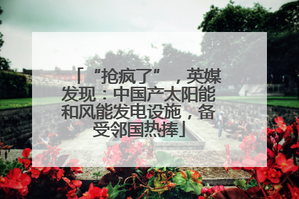 “抢疯了”，英媒发现：中国产太阳能和风能发电设施，备受邻国热捧