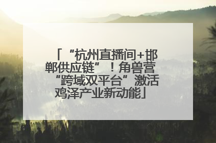 “杭州直播间+邯郸供应链”！角兽营“跨域双平台”激活鸡泽产业新动能