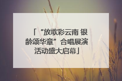 “放歌彩云南 银龄颂华章”合唱展演活动盛大启幕