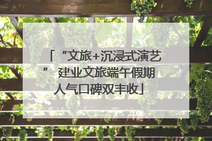 “文旅+沉浸式演艺” 建业文旅端午假期人气口碑双丰收