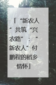 “新农人”共筑“兴农路”：“新农人”付鹏程的稻乡情怀