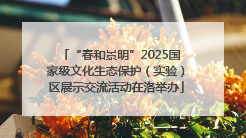 “春和景明”2025国家级文化生态保护（实验）区展示交流活动在洛举办