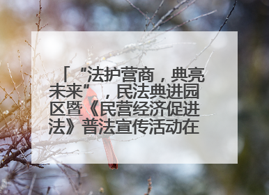 “法护营商，典亮未来”，民法典进园区暨《民营经济促进法》普法宣传活动在长沙举行