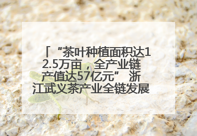 “茶叶种植面积达12.5万亩，全产业链产值达57亿元” 浙江武义茶产业全链发展“加速度”