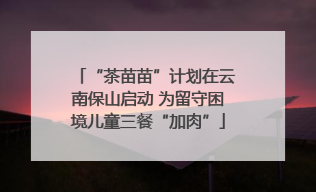 “茶苗苗”计划在云南保山启动 为留守困境儿童三餐“加肉”