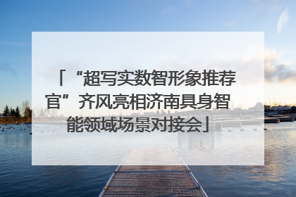 “超写实数智形象推荐官”齐风亮相济南具身智能领域场景对接会