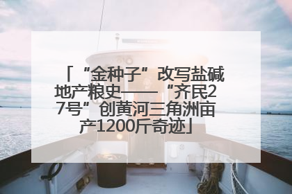 “金种子”改写盐碱地产粮史——“齐民27号”创黄河三角洲亩产1200斤奇迹