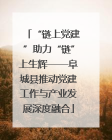 “链上党建”助力“链”上生辉——阜城县推动党建工作与产业发展深度融合