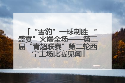 “雪豹”一球制胜 “盛宴”火爆全场——第二届“青超联赛”第二轮西宁主场比赛见闻