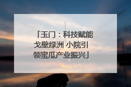 玉门：科技赋能戈壁绿洲 小院引领蜜瓜产业振兴