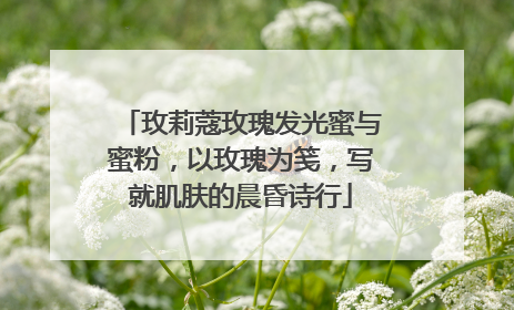 玫莉蔻玫瑰发光蜜与蜜粉，以玫瑰为笺，写就肌肤的晨昏诗行