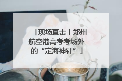 现场直击丨郑州航空港高考考场外的“定海神针”