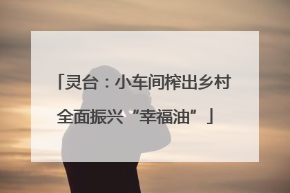 灵台：小车间榨出乡村全面振兴“幸福油”