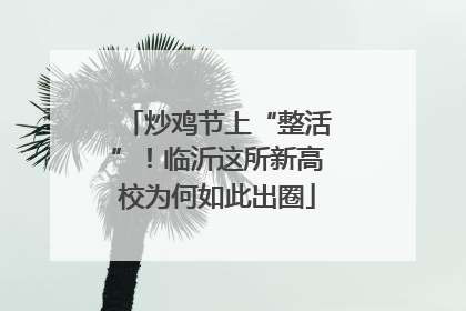 炒鸡节上“整活”！临沂这所新高校为何如此出圈