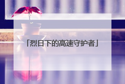 烈日下的高速守护者