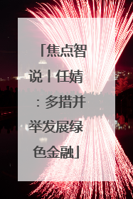 焦点智说丨任婧：多措并举发展绿色金融