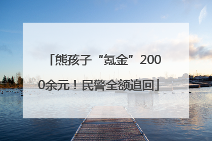 熊孩子“氪金”2000余元！民警全额追回