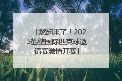 燃起来了！2025鹤壁国际匹克球邀请赛激情开赛